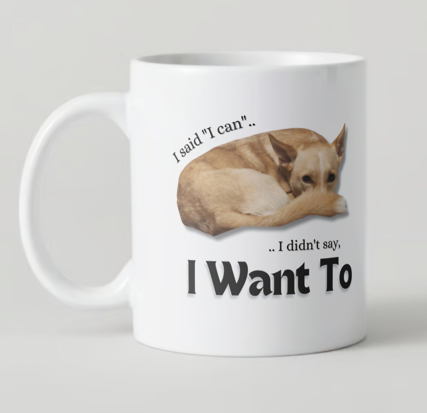 11oz Coffee Mug - Microwave and Dishwasher Safe - Snarky gift